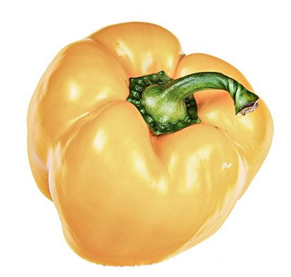 paprika-gelb
